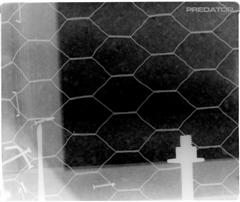 Predator Bottom Plate with No Termites